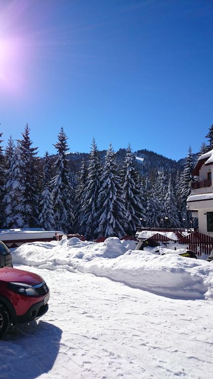 Tes Rila Park Apartments Borowez Exterior foto